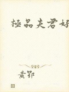 极品夫君好又多