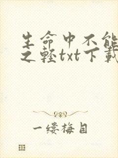 生命中不能承受之轻txt下载