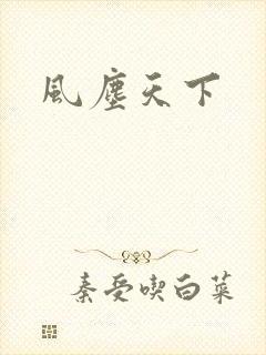 风尘天下