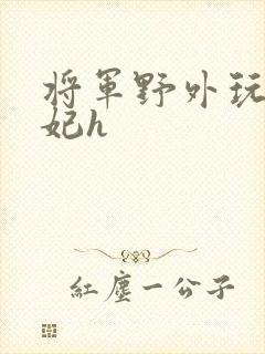 将军野外玩弄贵妃h