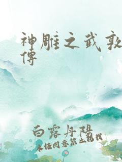 神雕之武敦儒大传