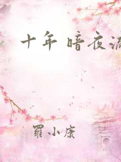 十年 暗夜流光