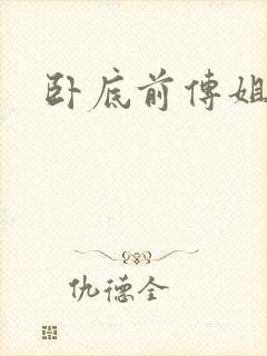 卧底前传姐妹篇