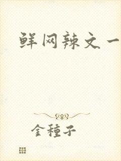 鲜网辣文一对一