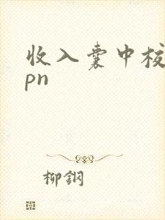 收入囊中校园hpn