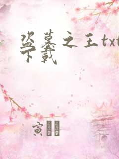 盗墓之王txt下载