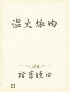 温火炖肉