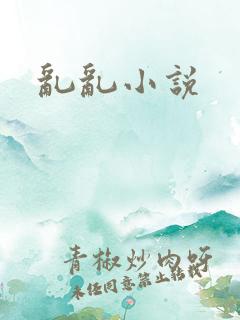 乱乱小说