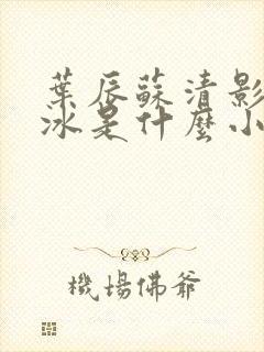 叶辰苏清影秦若冰是什么小说