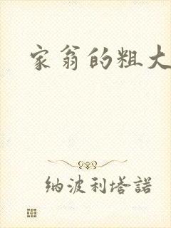 家翁的粗大炮