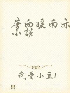 唐向暖南亦琛的小说