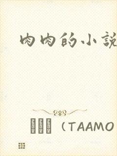 肉肉的小说