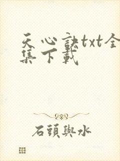 天心诀txt全集下载