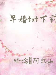 早婚txt下载