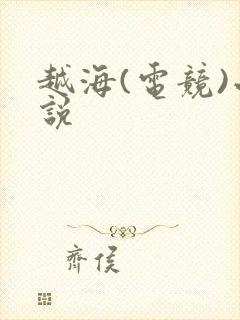 越海(电竞)小说