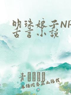 明珠娘子NPC古言小说