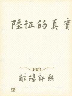 陆征的真实身份