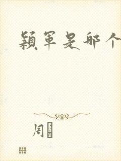 颖军是哪个军阀