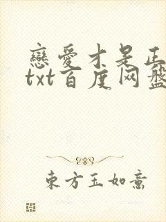 恋爱才是正经事txt百度网盘