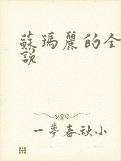 苏玛丽的全部小说