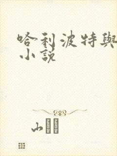 哈利波特与密室小说