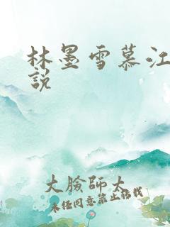 林墨雪慕江行小说