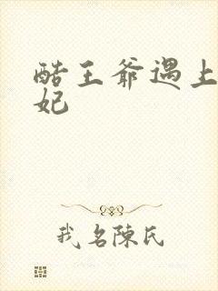 酷王爷遇上穿越妃