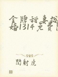 金牌甜妻总裁宠婚1314免费阅读