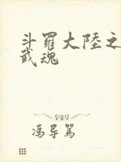 斗罗大陆之三生武魂