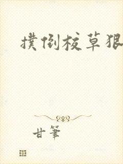 扑倒校草狠狠亲