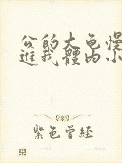 公的大龟慢慢挺进我体内小说