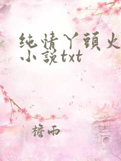 纯情丫头火辣辣小说txt