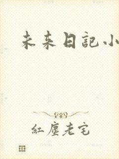 未来日记小说