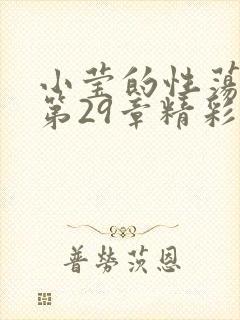 小莹的性荡生活第29章精彩章节