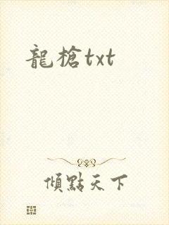 龙枪txt