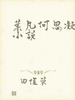 叶凡何思凝七月小说