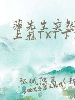 薄先生突然黏她上瘾TXT下载