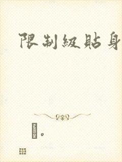 限制级贴身高手