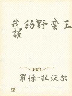 我的野蛮王妃小说