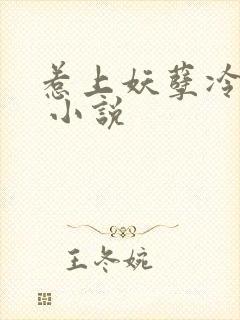 惹上妖孽冷殿下 小说