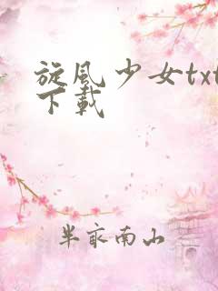 旋风少女txt下载