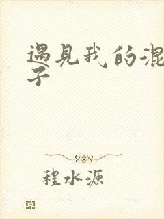 遇见我的混血王子