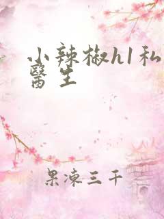 小辣椒h1私人医生