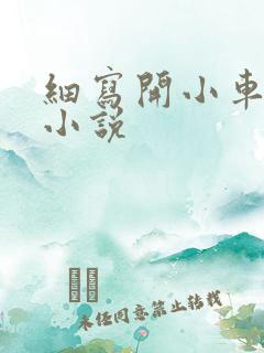 细写开小车车的小说