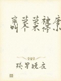 宁荣荣被唐三桶叫个不停小说