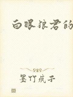 白眼狼君的小说