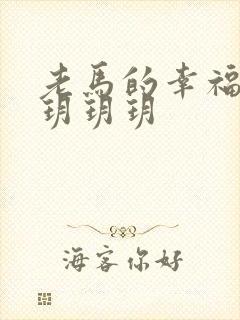 老马的幸福生活玥玥玥