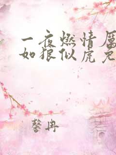 一夜燃情厉先生如狼似虎免费阅读动漫
