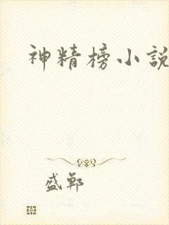 神精榜小说