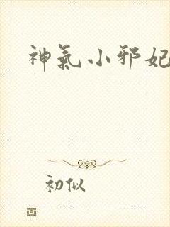 神气小邪妃